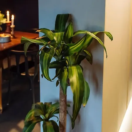 Appartement Luxury Downtown