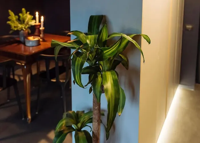 Apartmán Luxury Downtown